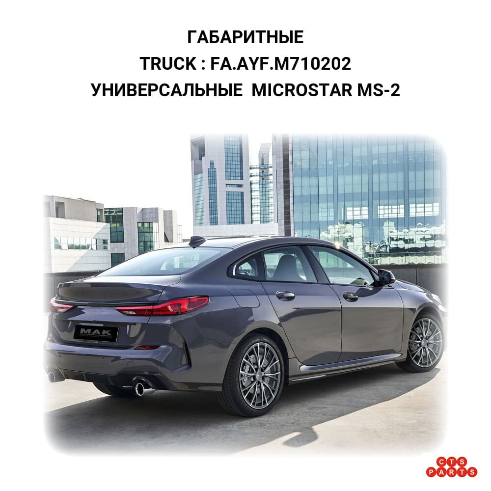 УНИВЕРСАЛЬНЫЕ MICROSTAR MS-2