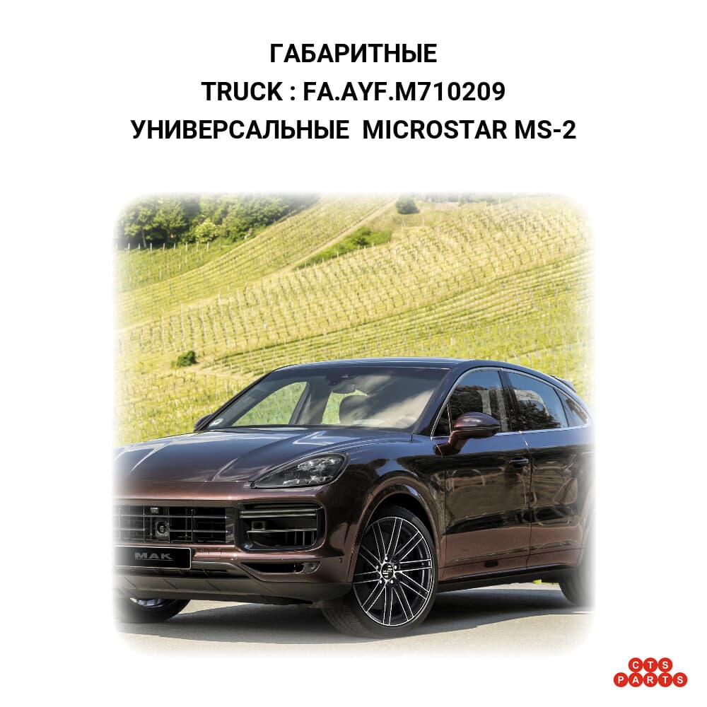 УНИВЕРСАЛЬНЫЕ MICROSTAR MS-2