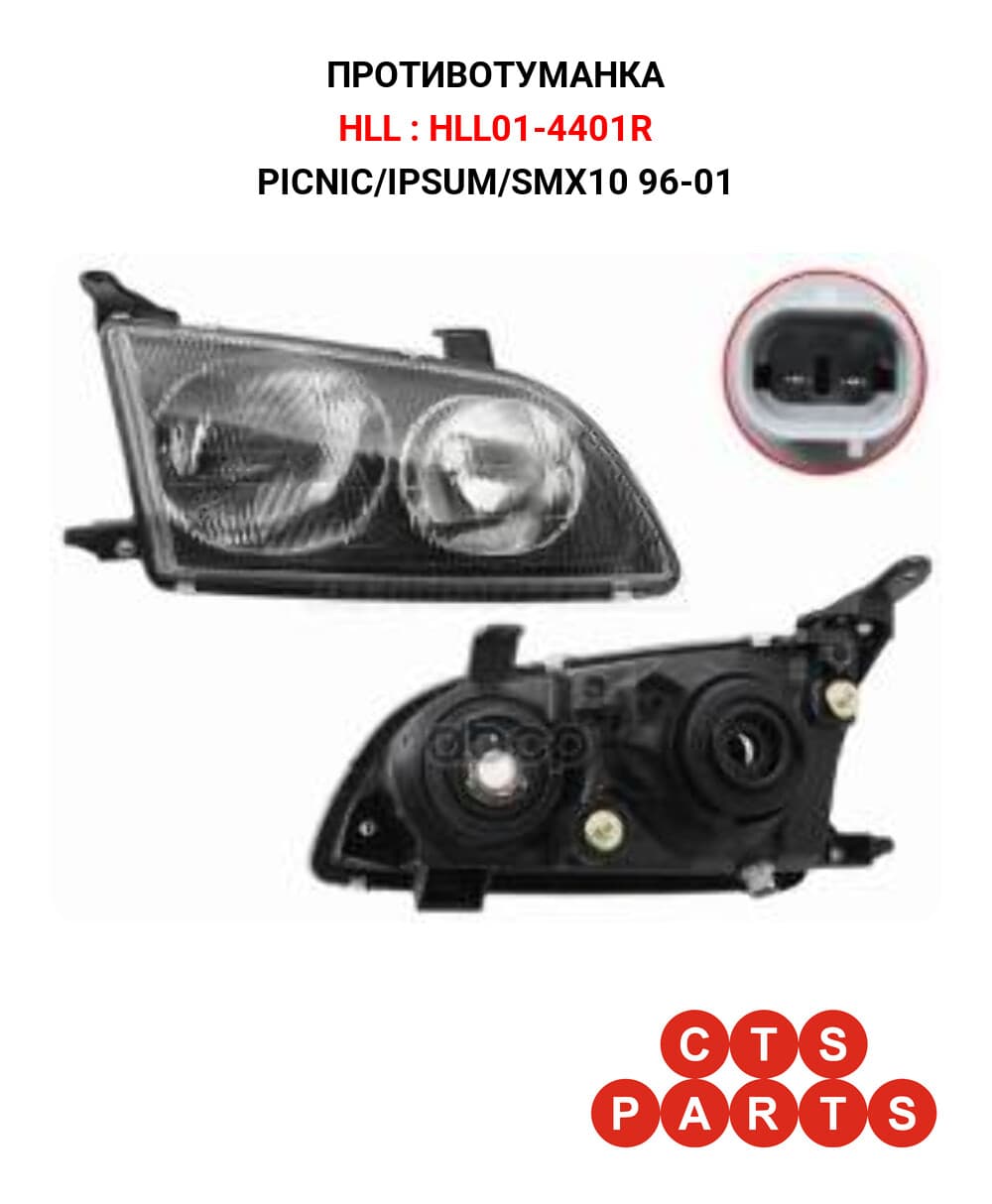 PICNIC/IPSUM/SMX10 96-01